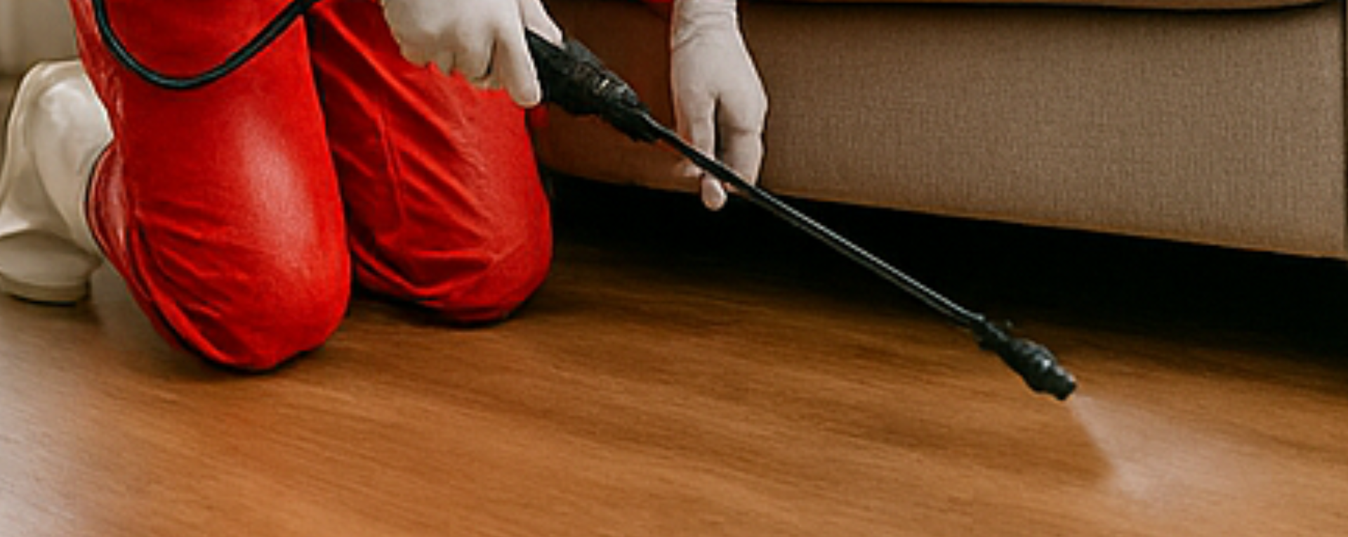 Article Image 1