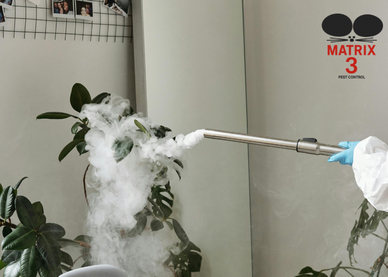 خدمة التعقيم والتطهير